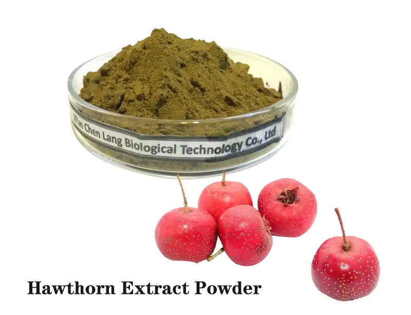 Hawthorn Extract Powder.jpg